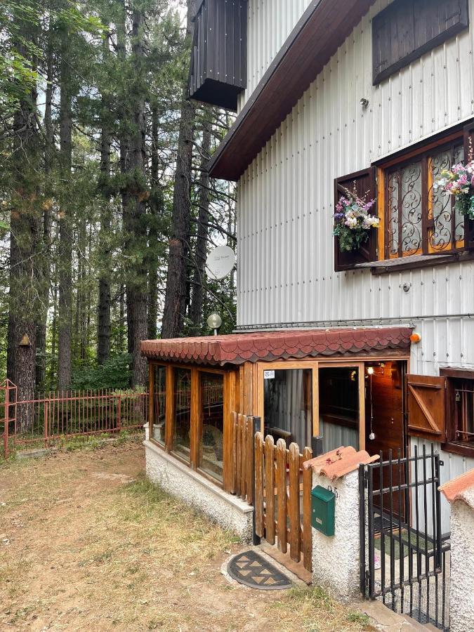 La Veranda Nella Neve - Камильятелло-Силано Экстерьер фото