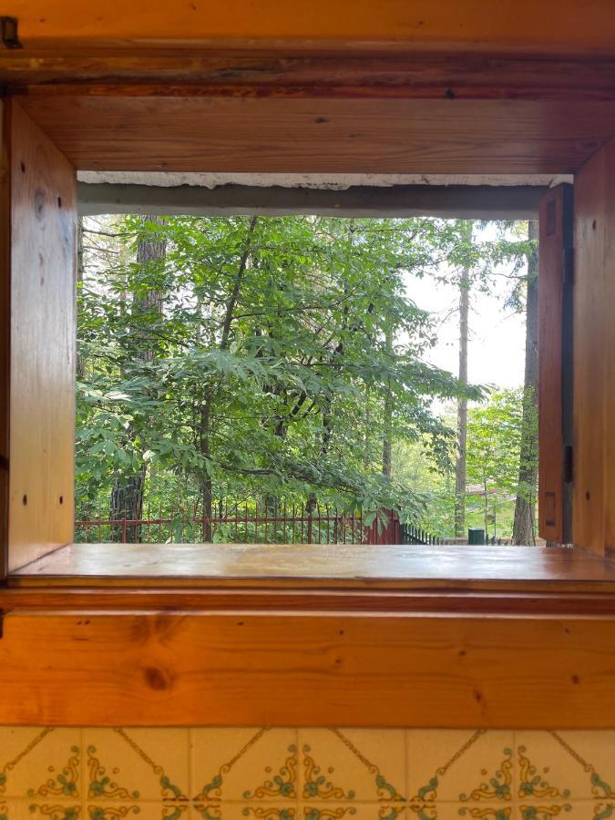 La Veranda Nella Neve - Камильятелло-Силано Экстерьер фото