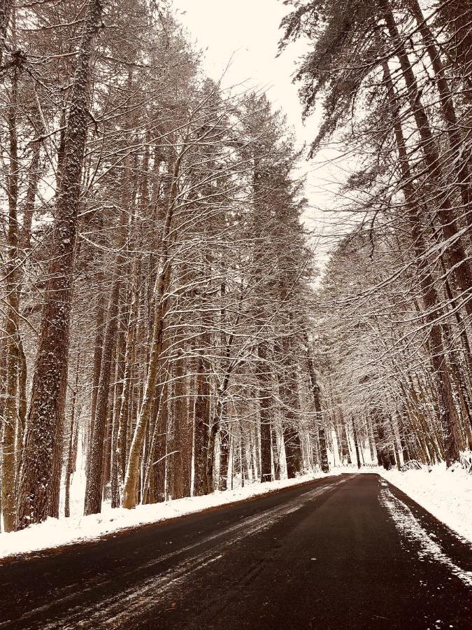 La Veranda Nella Neve - Камильятелло-Силано Экстерьер фото